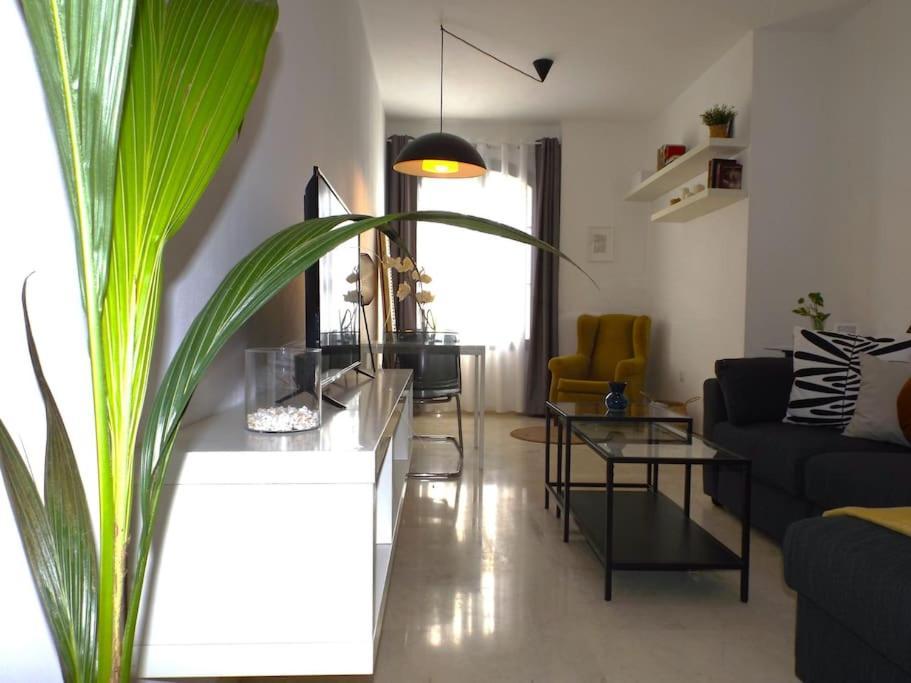 Apartamento Suite Centrico B 말라가 외부 사진